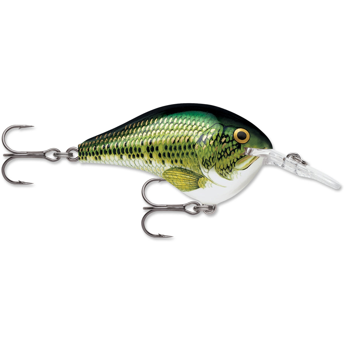 Rapala DT-6 Series Crankbaits