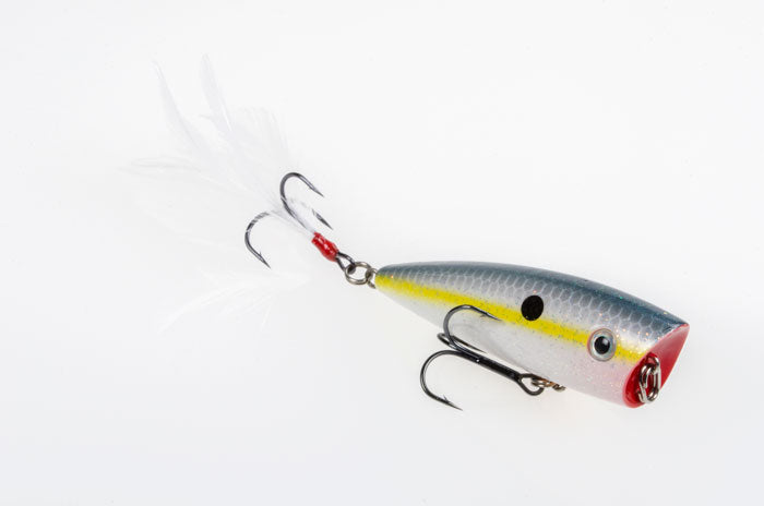 Strike King KVD Splash
