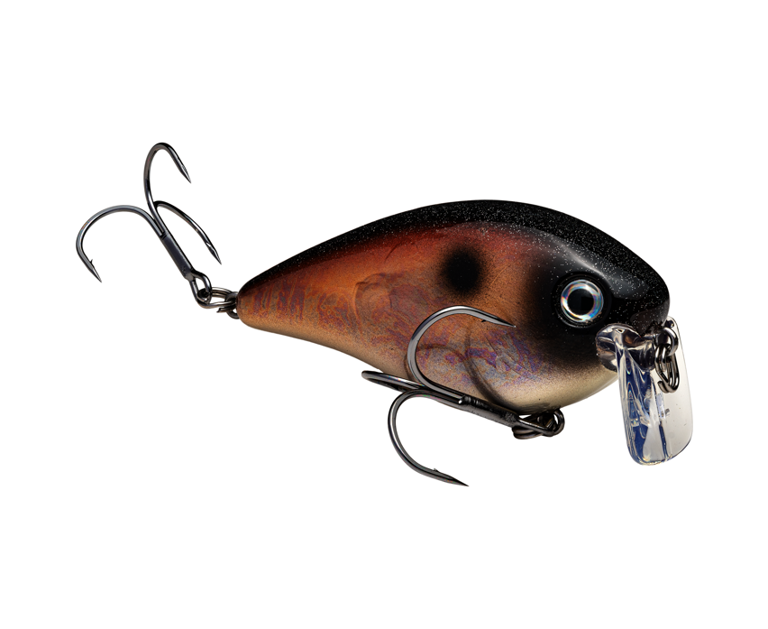 Strike King KVD 2.5 Square Bill Crankbait Wake Bait | Pro Black