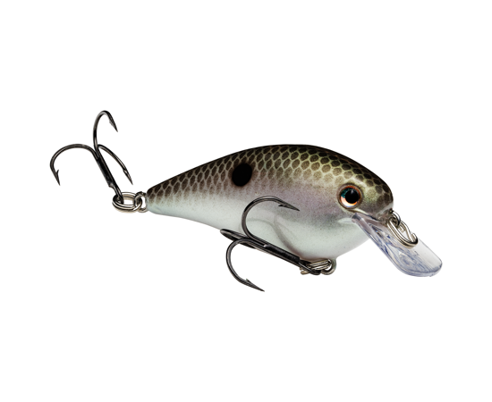 Strike King KVD Square bill 1.0 Crankbait