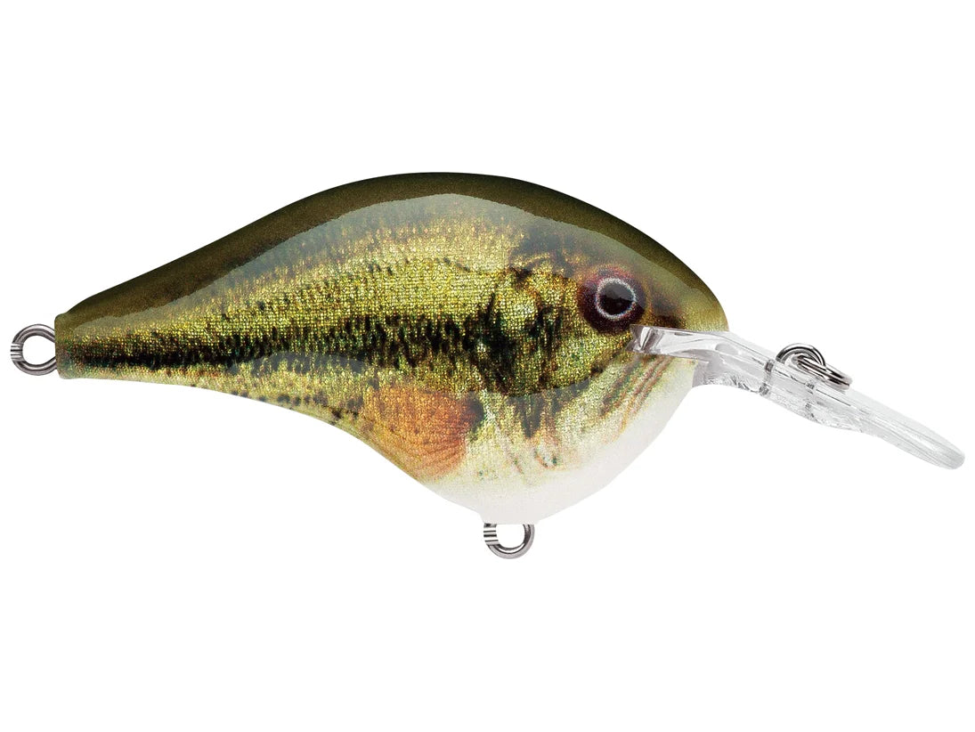 Rapala DT-6 Series Crankbaits