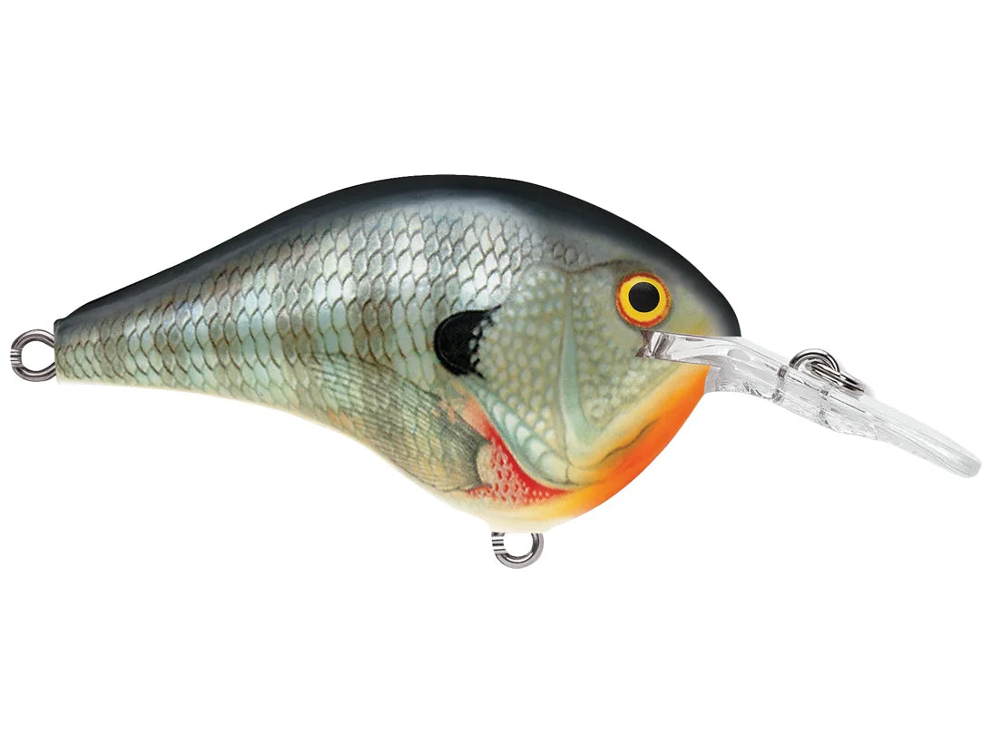 Rapala DT-6 Series Crankbaits