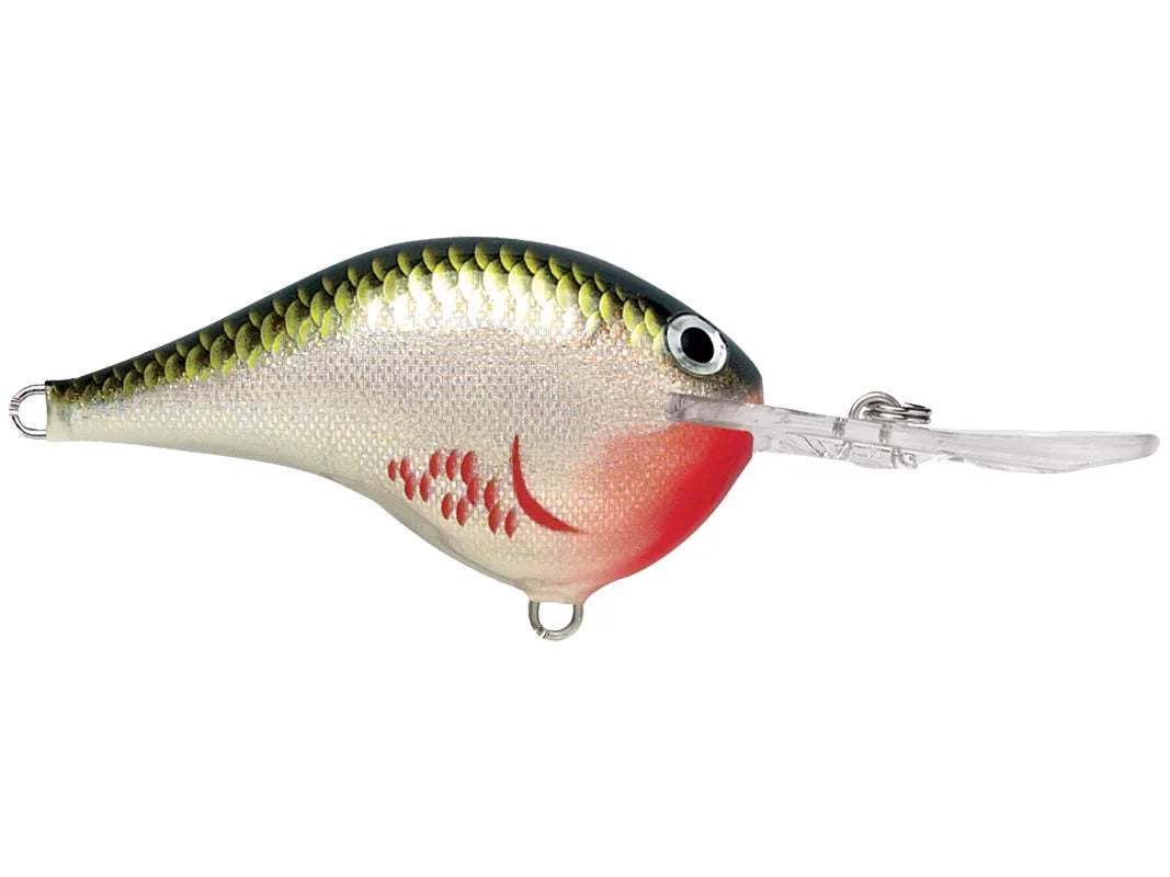 Rapala DT-10 Series Crankbaits