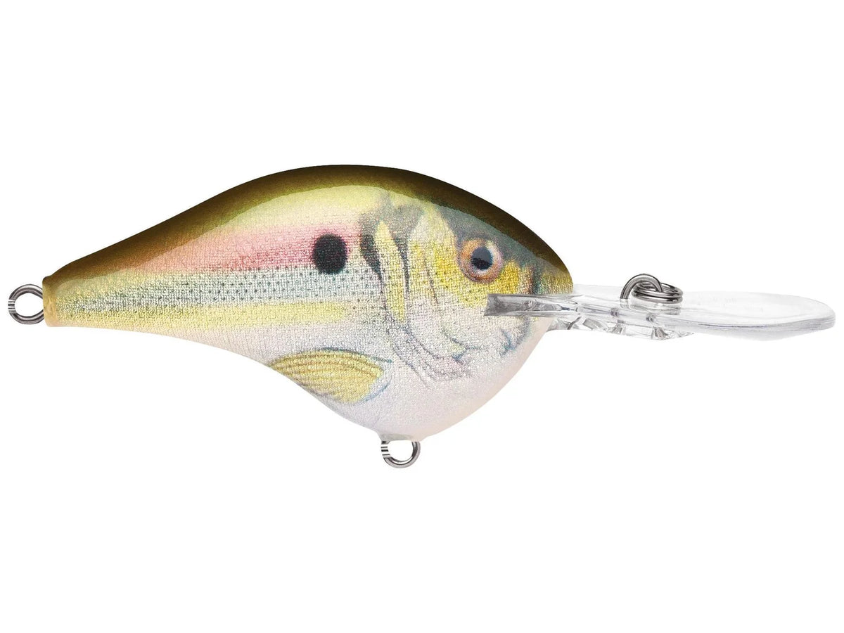 Rapala DT-12 Series Crankbaits