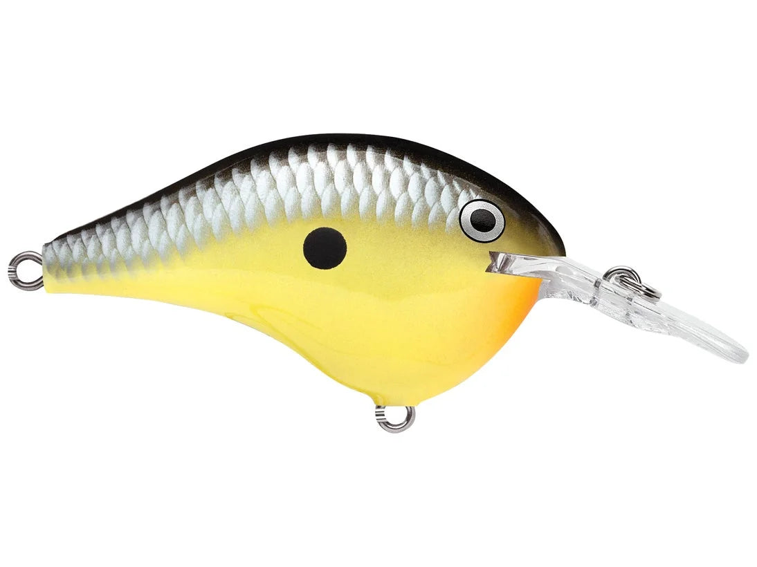 Rapala DT-6 Series Crankbaits