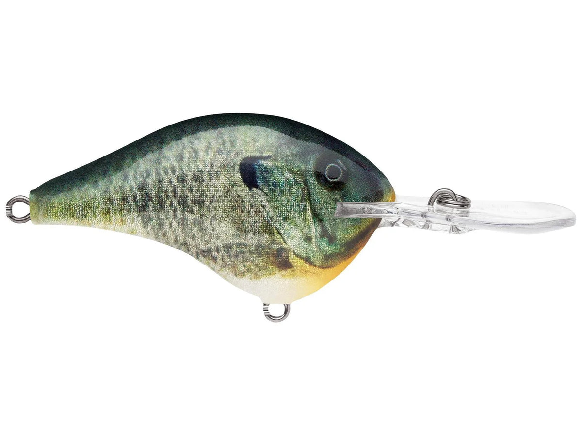 Rapala DT-12 Series Crankbaits