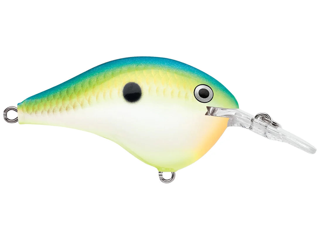 Rapala DT-6 Series Crankbaits
