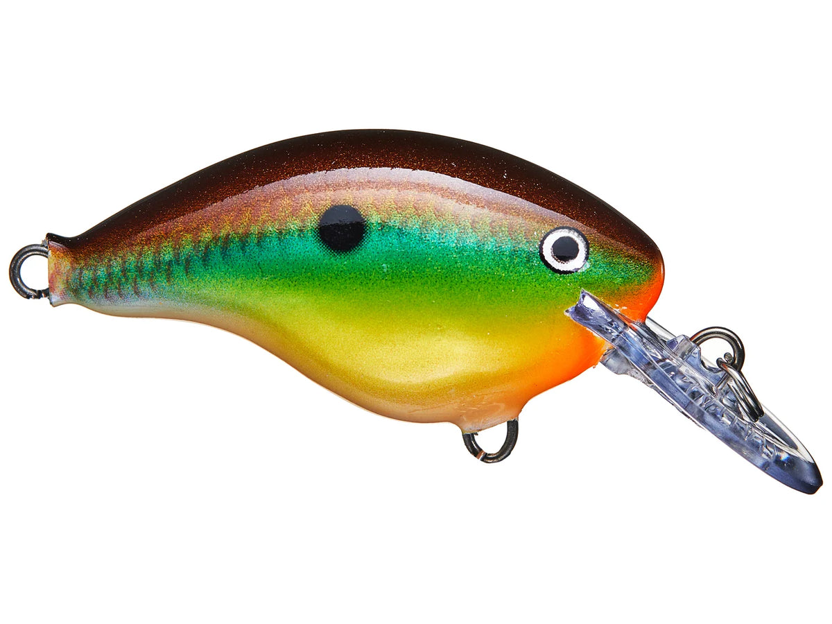 Rapala DT-4 Series Crankbaits
