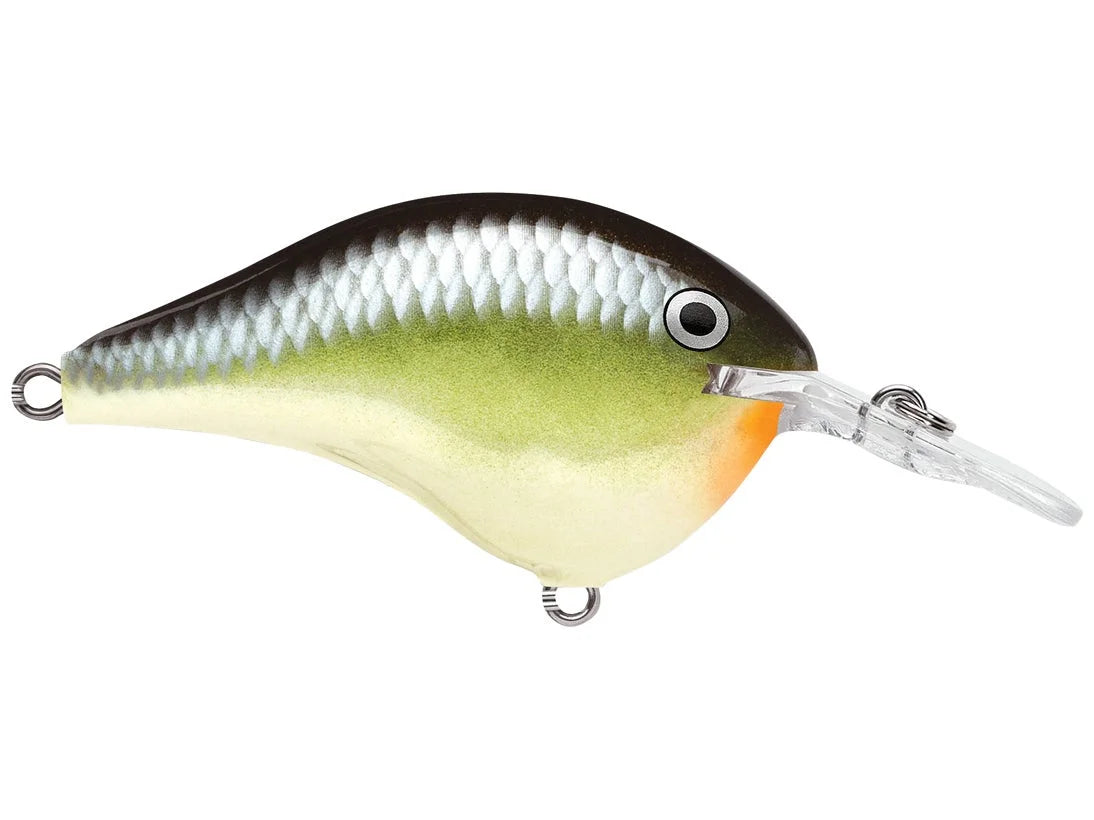 Rapala DT-6 Series Crankbaits