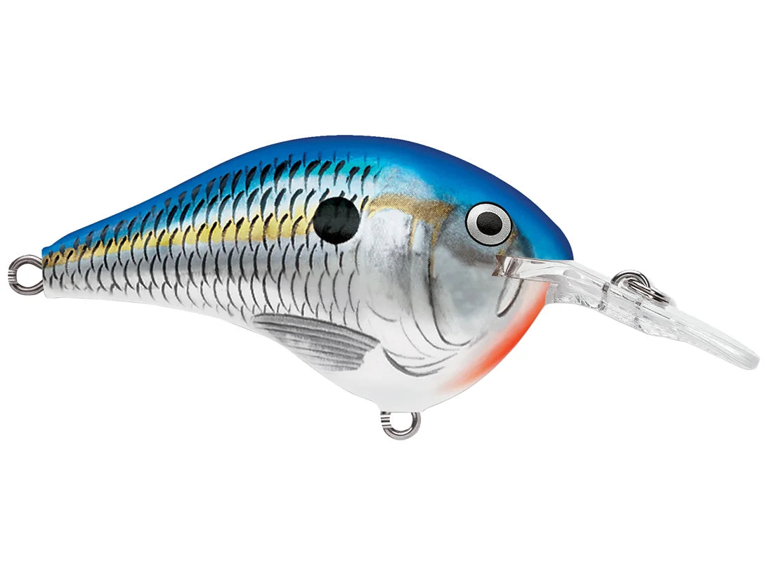 Rapala DT-6 Series Crankbaits