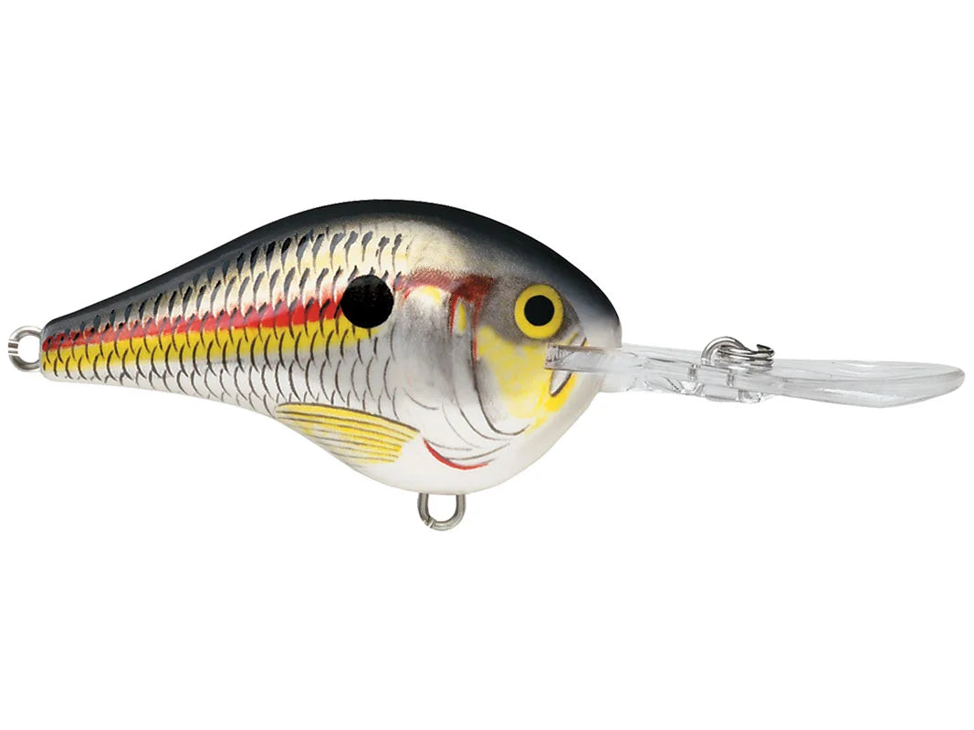 Rapala DT-10 Series Crankbaits