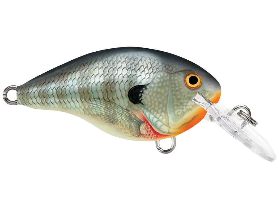 Rapala DT-4 Series Crankbaits