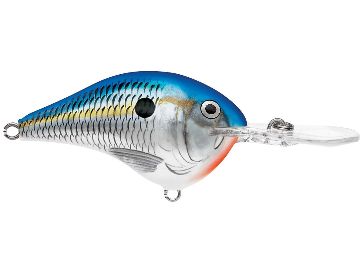 Rapala DT-12 Series Crankbaits