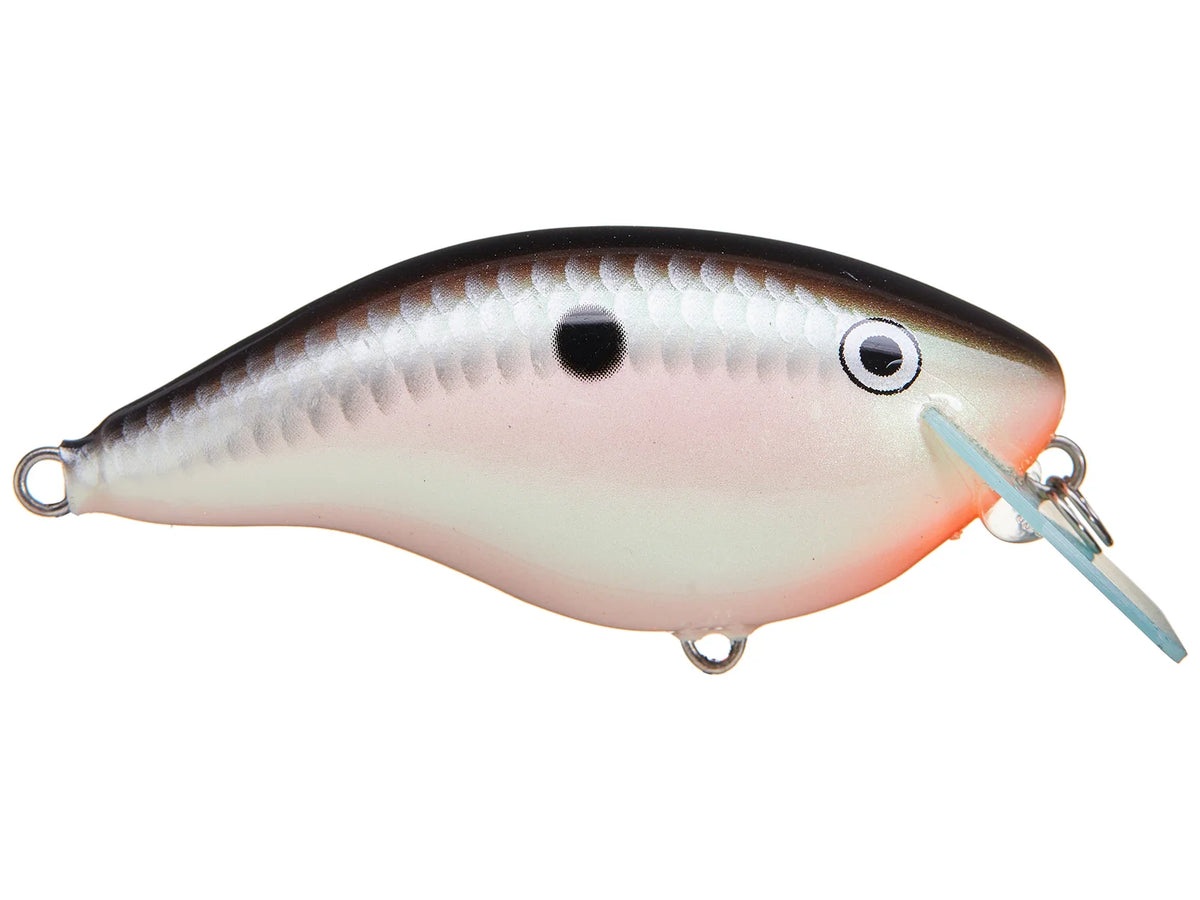 Rapala Ott's Garage OG Rocco 5 Crankbait