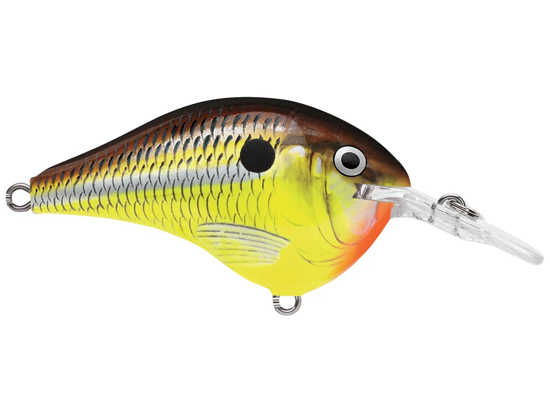 Rapala DT-6 Series Crankbaits