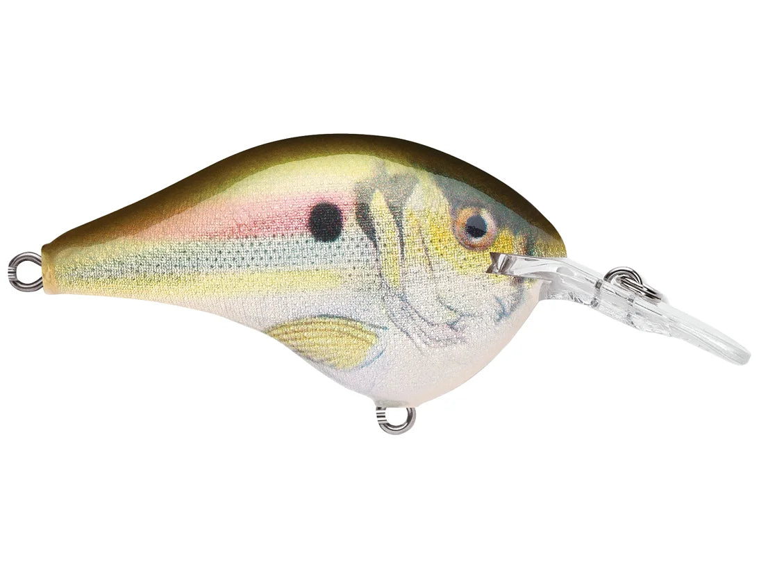 Rapala DT-6 Series Crankbaits