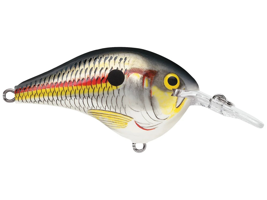 Rapala DT-6 Series Crankbaits