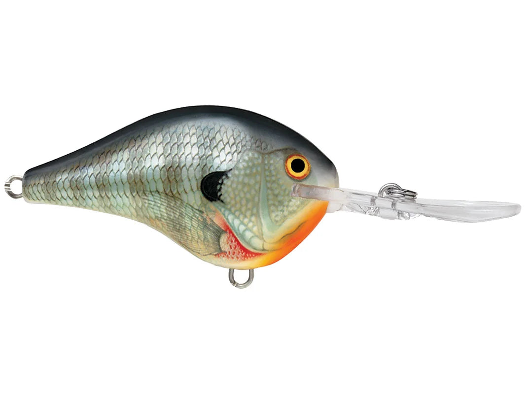 Rapala DT-10 Series Crankbaits
