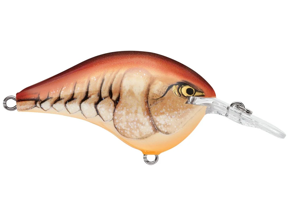 Rapala DT-6 Series Crankbaits