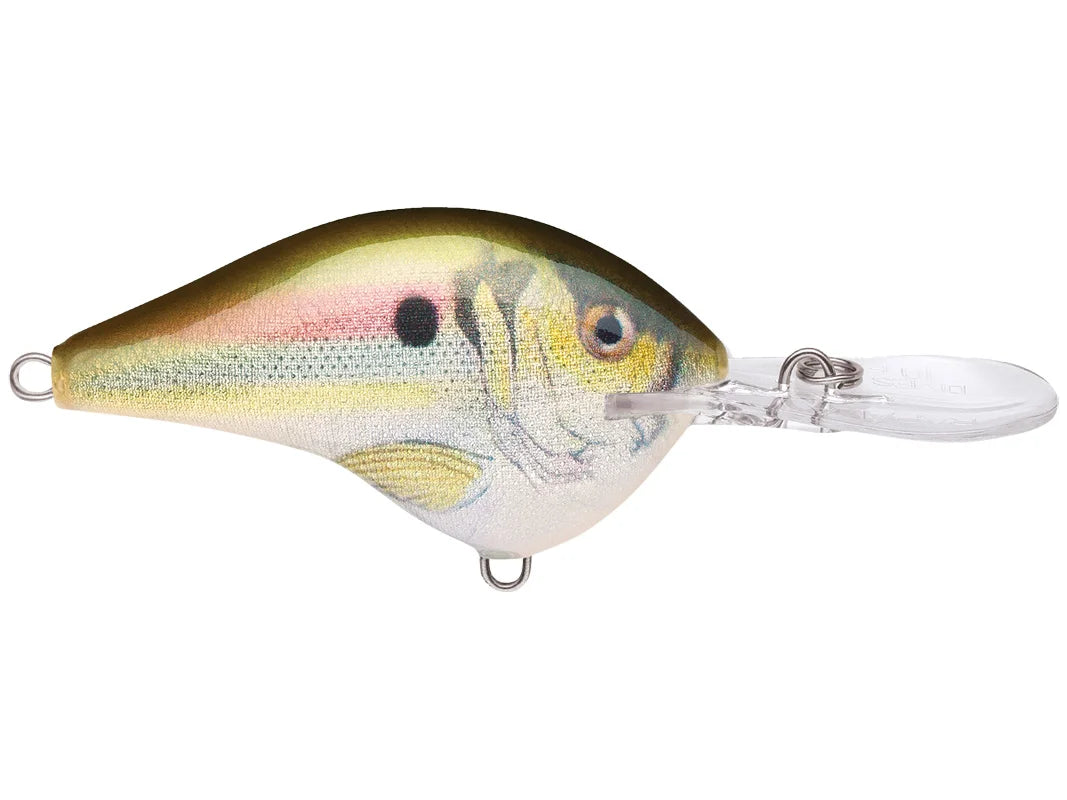 Rapala DT-10 Series Crankbaits