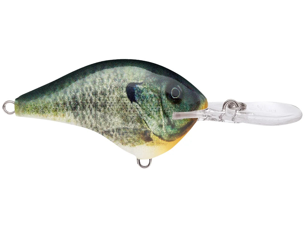 Rapala DT-10 Series Crankbaits