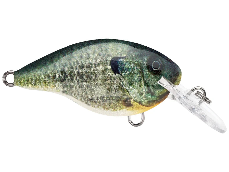 Rapala DT-4 Series Crankbaits