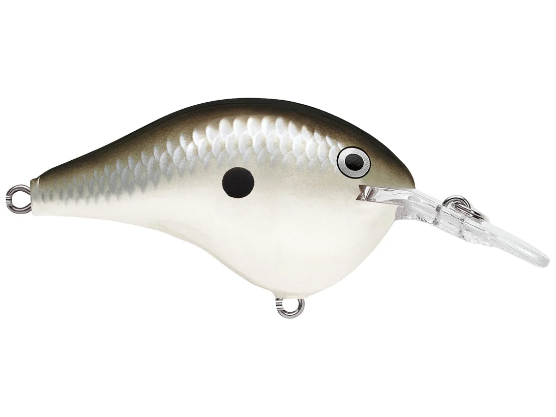 Rapala DT-6 Series Crankbaits
