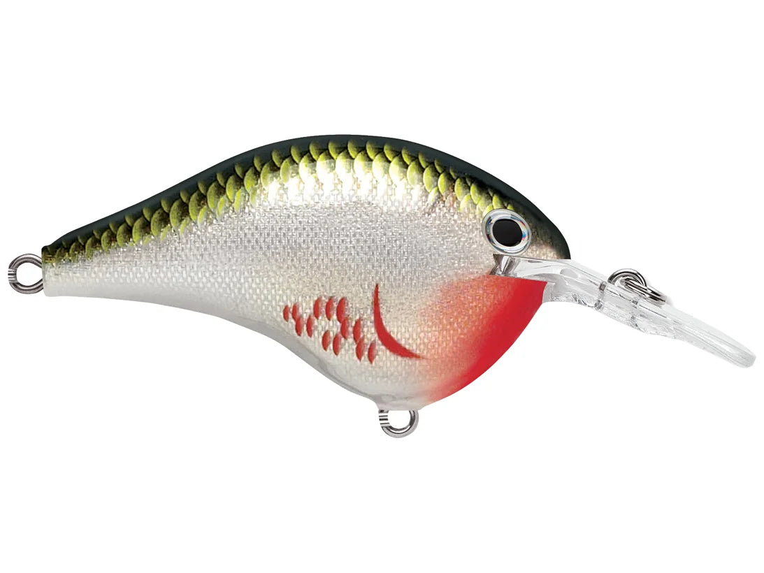 Rapala DT-6 Series Crankbaits