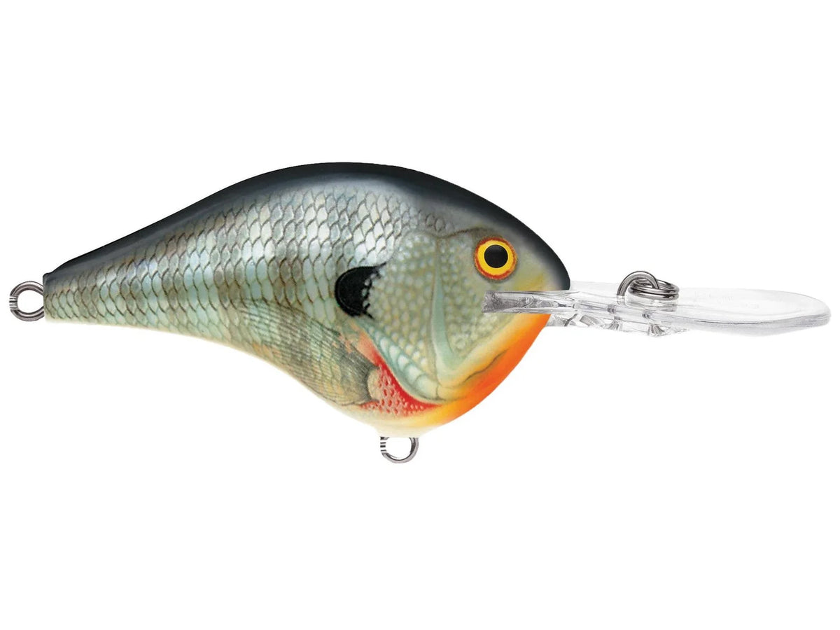 Rapala DT-12 Series Crankbaits
