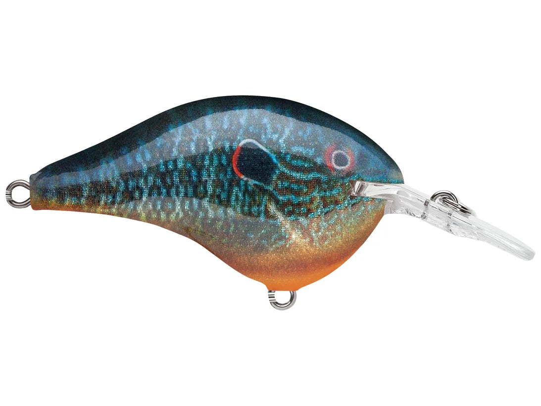 Rapala DT-6 Series Crankbaits