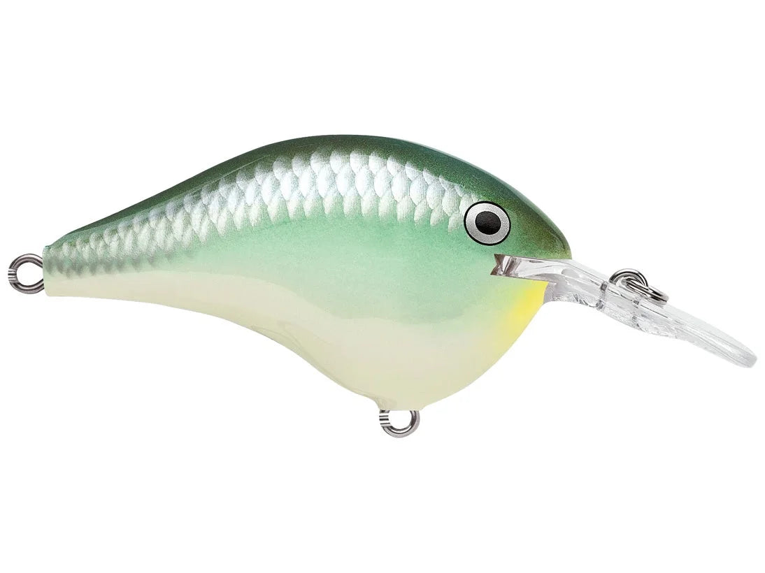 Rapala DT-6 Series Crankbaits