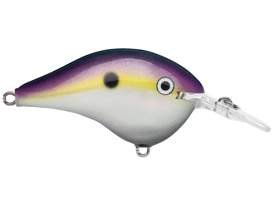 Rapala DT-6 Series Crankbaits