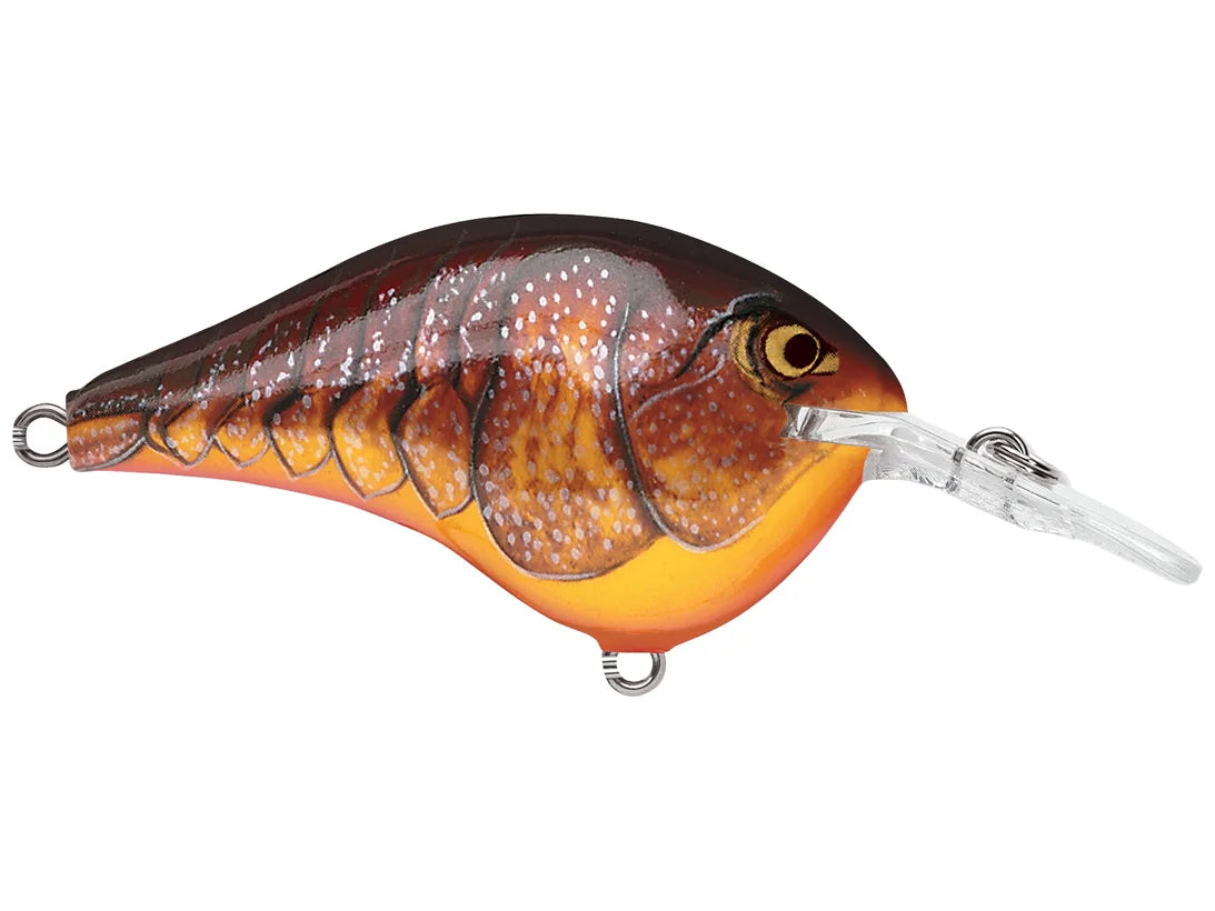 Rapala DT-6 Series Crankbaits
