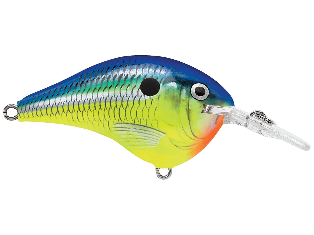 Rapala DT-6 Series Crankbaits