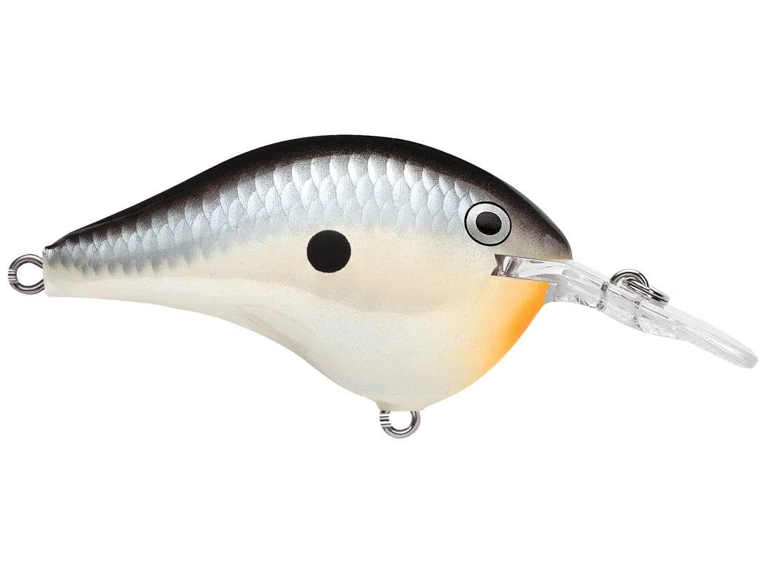 Rapala DT-6 Series Crankbaits