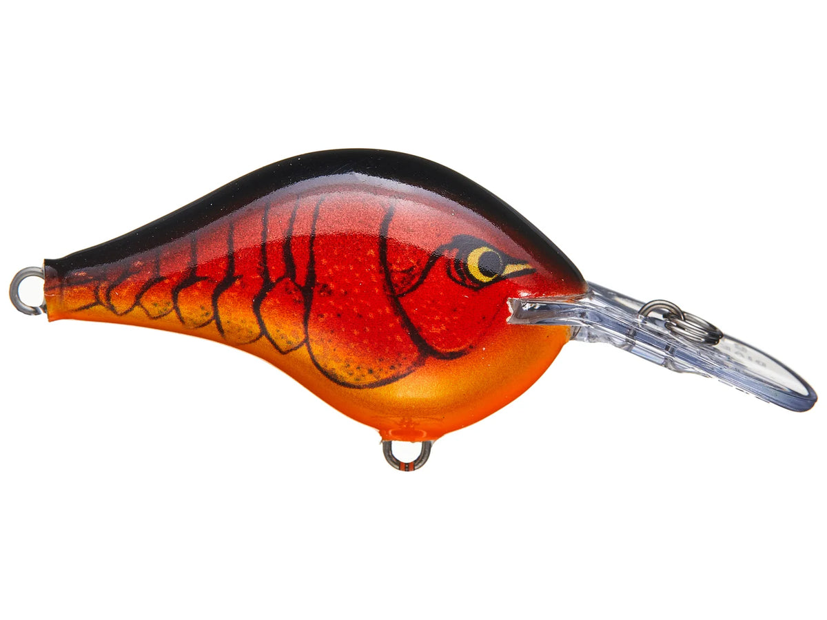 Rapala DT-6 Series Crankbaits