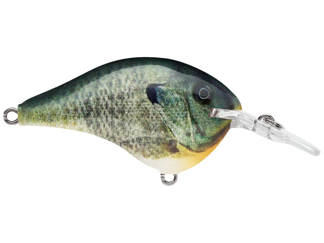 Rapala DT-6 Series Crankbaits