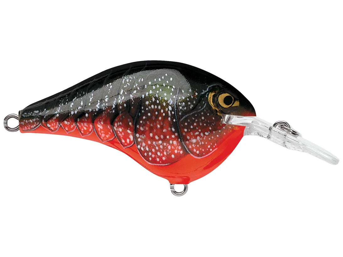 Rapala DT-6 Series Crankbaits