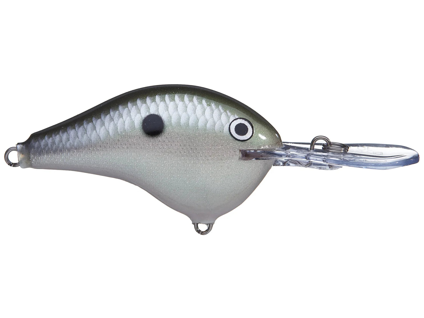 Rapala DT-10 Series Crankbaits